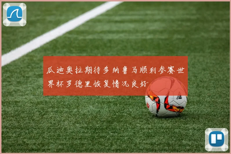 瓜迪奥拉期待多纳鲁马顺利参赛世界杯罗德里恢复情况良好
