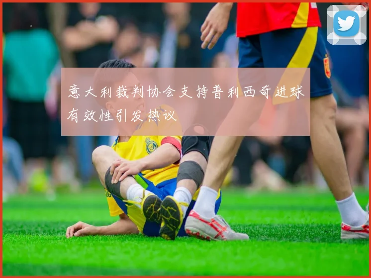 意大利裁判协会支持普利西奇进球有效性引发热议